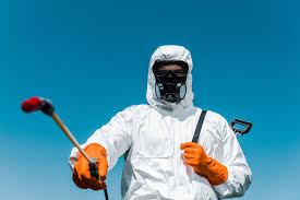 Lawn Pest Control in Belen, NM